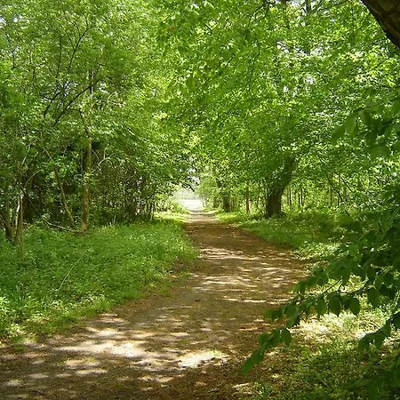 לינה וארוחת בוקר Jagdschloss Quitzin Grimmen