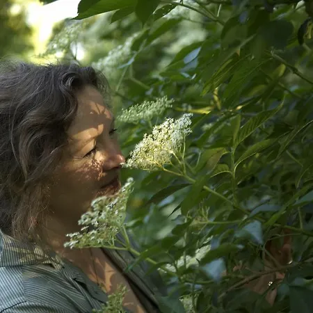 Jagdschloss Quitzin Grimmen