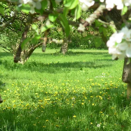 לינה וארוחת בוקר Jagdschloss Quitzin Grimmen