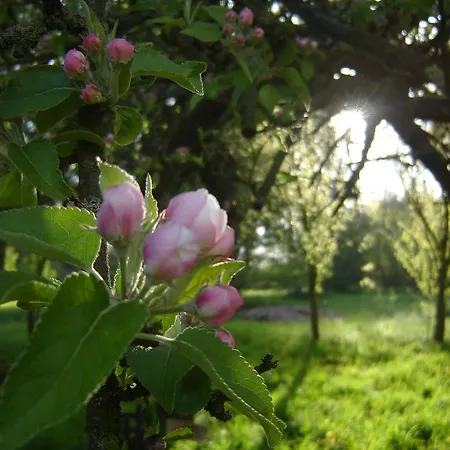 Jagdschloss Quitzin Grimmen