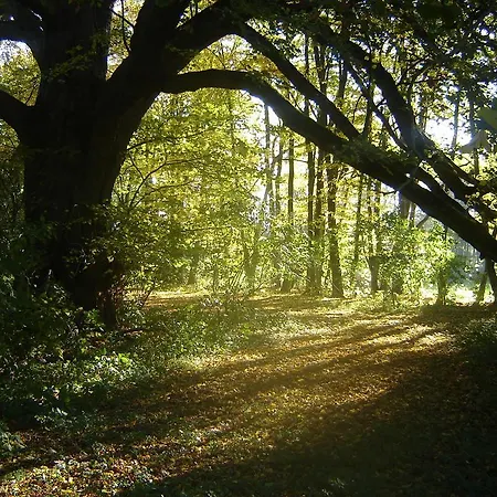 Jagdschloss Quitzin לינה וארוחת בוקר 3*